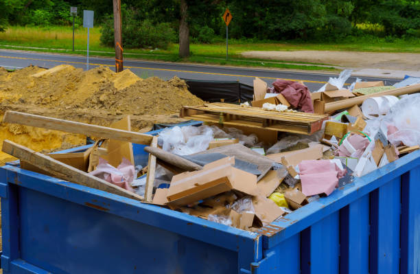 Best Shed Removal  in Gunbarrel, CO